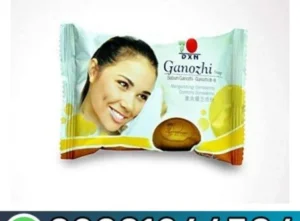 DXN Ganozhi Soap In Pakistan