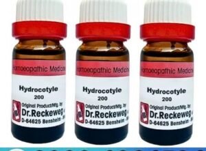 Dr Reckeweg Hydrocotyle Asiatica Price In Pakistan